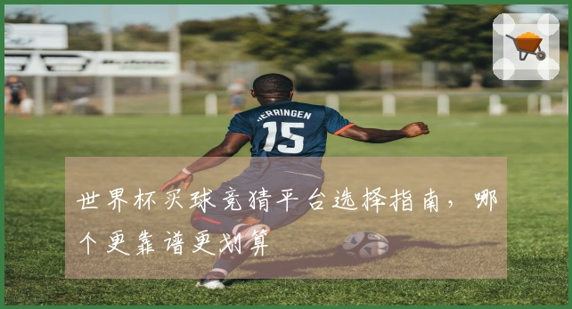 世界杯买球竞猜平台选择指南，哪个更靠谱更划算
