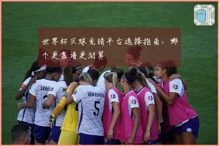 世界杯买球竞猜平台选择指南，哪个更靠谱更划算