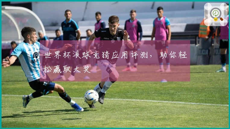 世界杯滚球竞猜应用评测，助你轻松赢取大奖