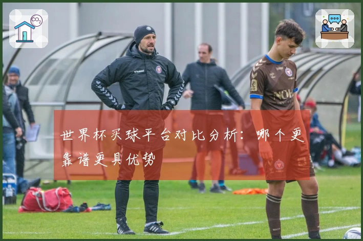 世界杯买球平台对比分析：哪个更靠谱更具优势