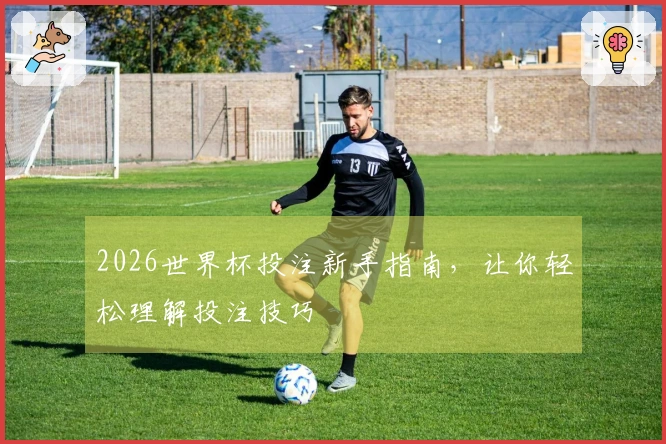 2026世界杯投注新手指南，让你轻松理解投注技巧