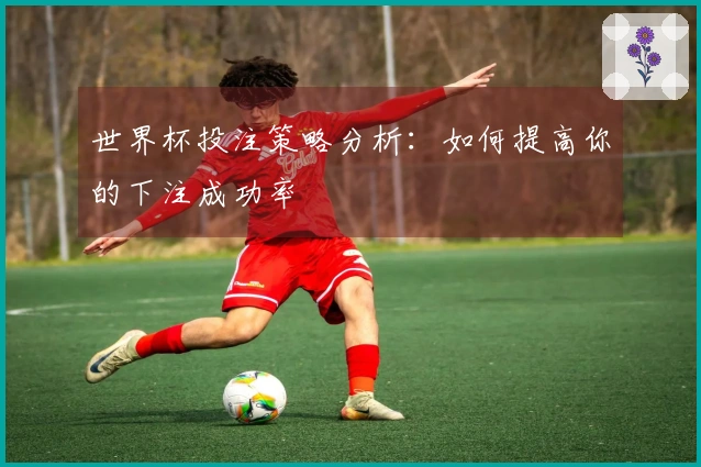 世界杯投注策略分析：如何提高你的下注成功率